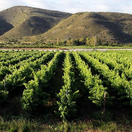 Tanagra Wine & Guestfarm McGregor Exterior foto