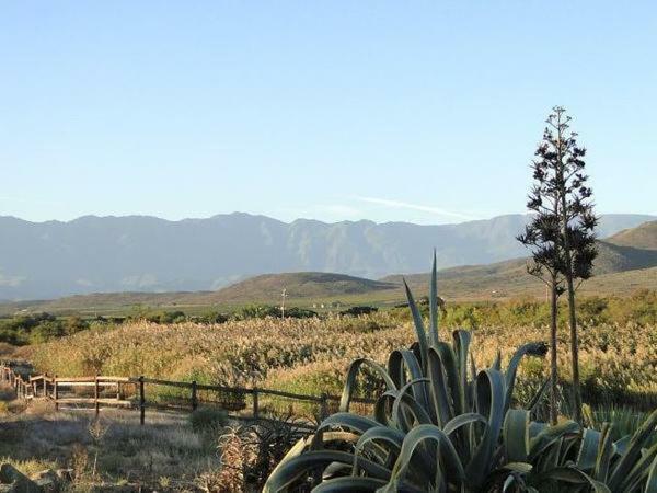Tanagra Wine & Guestfarm McGregor Exterior foto