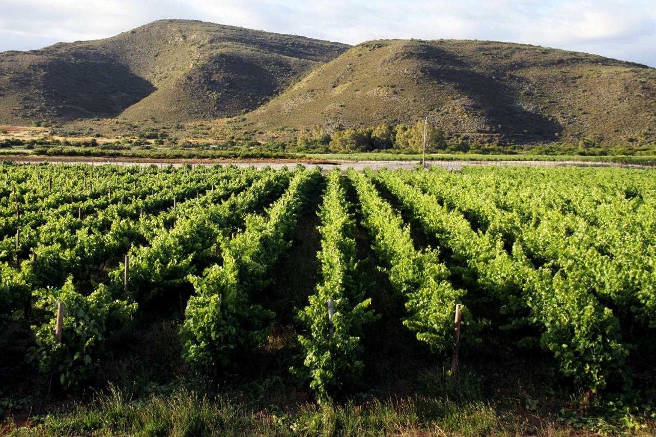 Tanagra Wine & Guestfarm McGregor Exterior foto